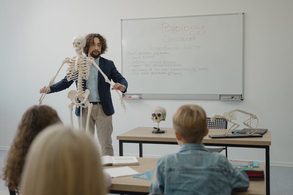Teacher explaining human skeleton to students in a biology class with models