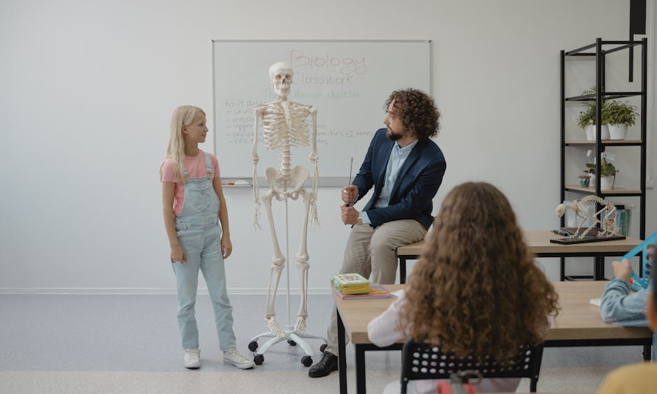 Teacher and students in a classroom using a skeleton model for a biology lesson